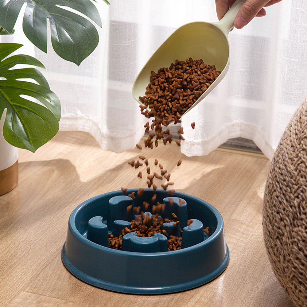 Bowl for dogs and cats