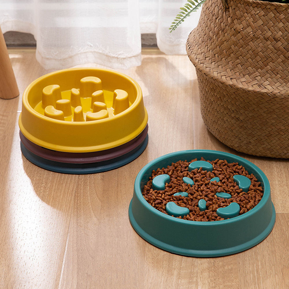 Bowl for dogs and cats