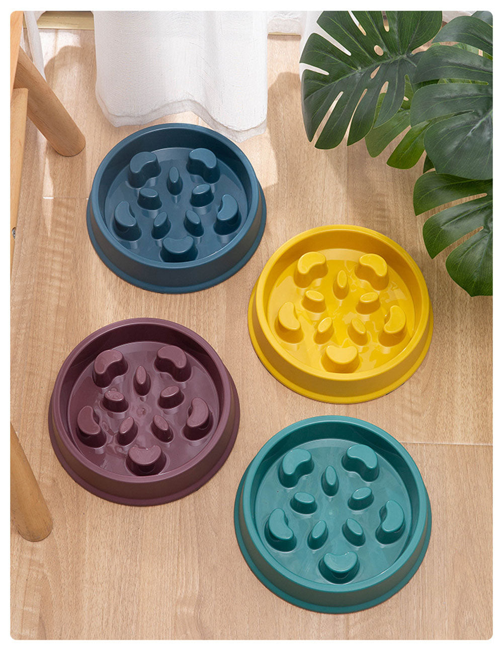 Bowl for dogs and cats